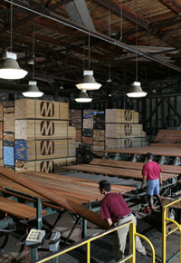 Dried lumber grading at J Gibson McIlvain Lumber Company